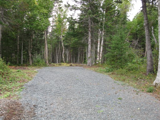 Terra Nova - Malady Head