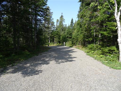 Forillon - Petit-Gaspé