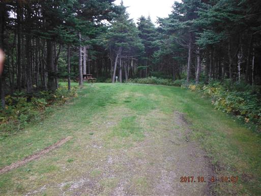 Gros Morne - Green Point