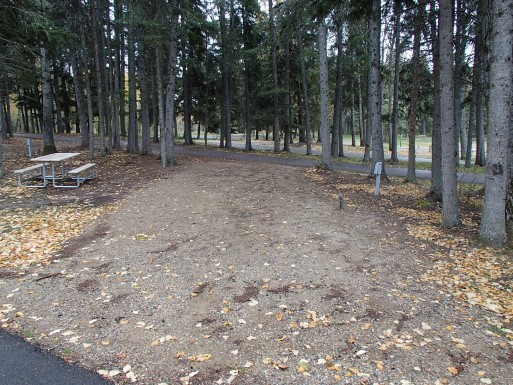 Prince Albert - Red Deer