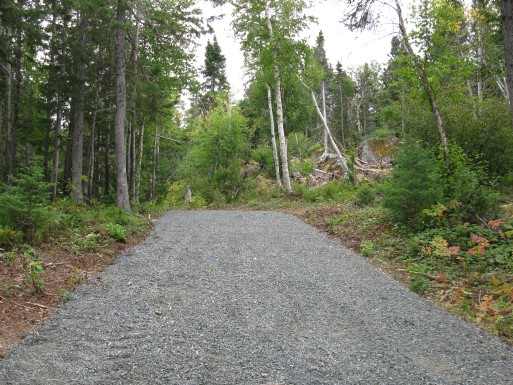 Terra Nova - Malady Head
