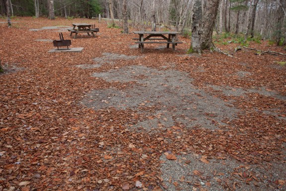 Fundy - Chignecto