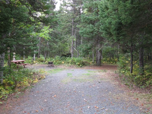 Terra Nova - Malady Head