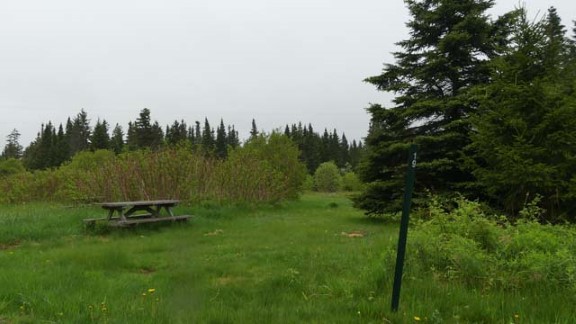 Fundy - Lakeview