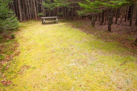 Chignecto South
