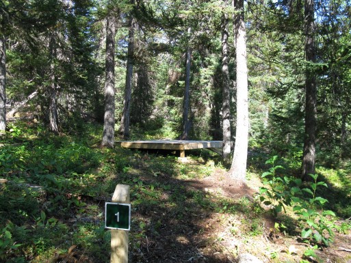 Terra Nova - Backcountry