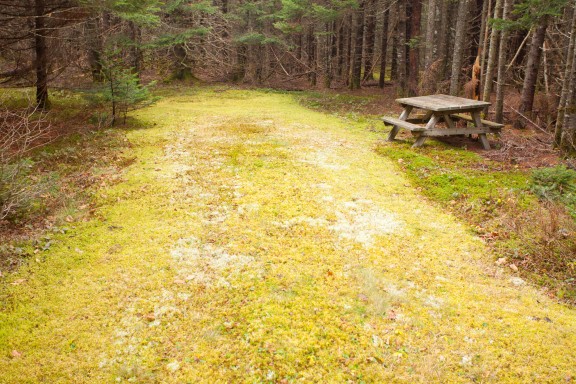 Chignecto South